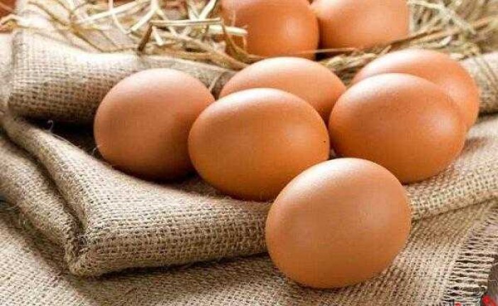 افزایش دو هزار تومانی هر شانه تخم مرغ طی یک ماه