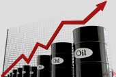 افزایش قیمت نفت در پی توقیف یک کشتی ‌خارجی حامل سوخت قاچاق در خلیج فارس