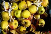 40 هزار تن سیب در سردخانه‌های آذربایجان‌غربی فاسد شد.