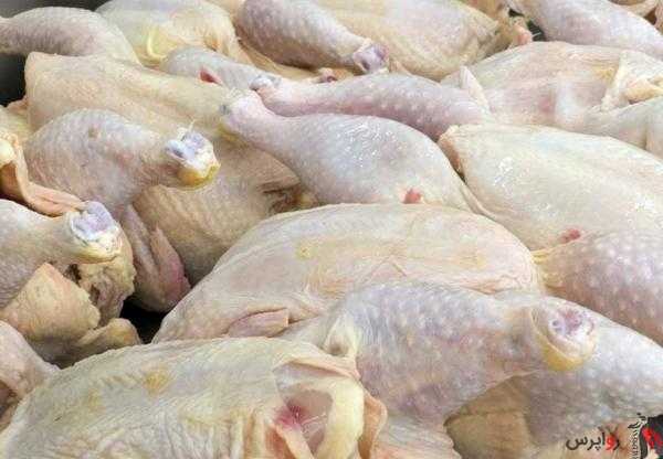 علت افزایش قیمت مرغ مشخص شد .