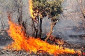 اعزام آتش نشانان تبریز برای اطفاء حریق جنگل‌های ارسباران