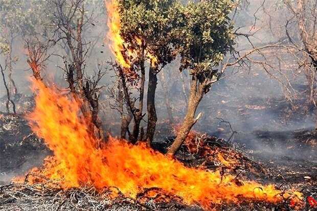 اعزام آتش نشانان تبریز برای اطفاء حریق جنگل‌های ارسباران