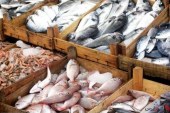 قیمت ماهی در ایران ‘بالا’ است