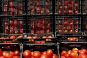 سبقت گوجه فرنگی در کورس افزایش قیمت ( یادداشت هما همت خواه )