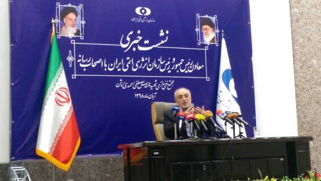 صالحی: ایران توانایی تولید هر سانتریفیوژی را دارد