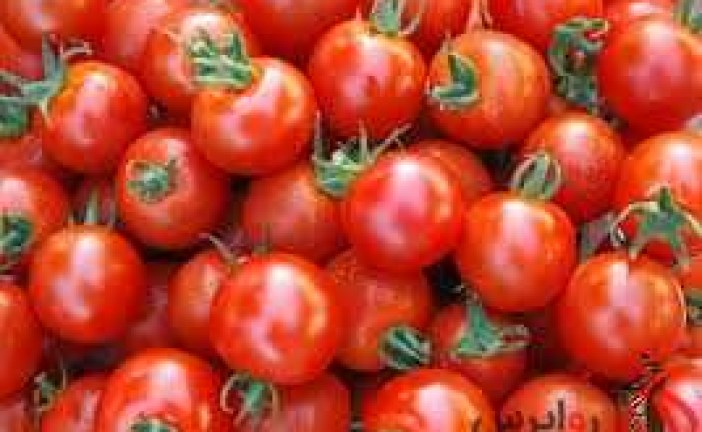 دیوان عدالت، ممنوعیت صادرات سیب زمینی و رب گوجه‌ را برداشت