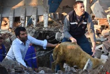 افزایش تلفات زلزله ترکیه به 21 کشته و 1030 مجروح