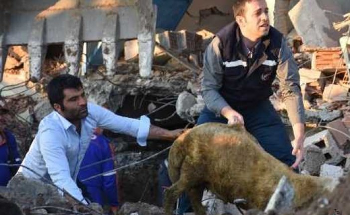 افزایش تلفات زلزله ترکیه به 21 کشته و 1030 مجروح