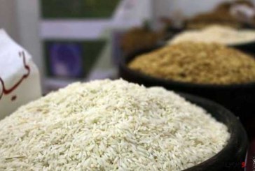 توضیحات مدیرکل غذا وزارت بهداشت درباره تولید برنج مصنوعی