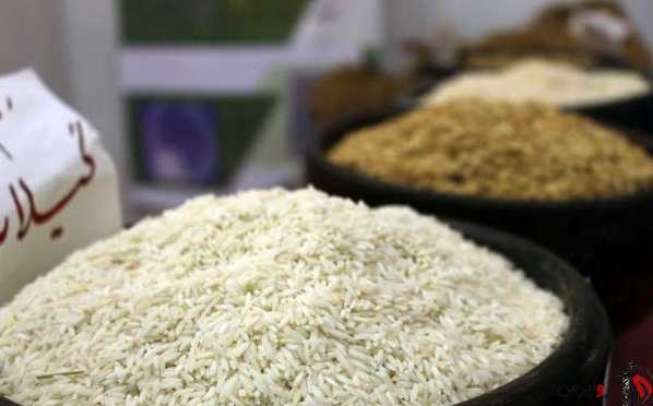 توضیحات مدیرکل غذا وزارت بهداشت درباره تولید برنج مصنوعی