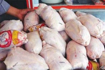 التهاب قیمت مرغ در بازار/ نرخ هر کیلو مرغ به ۱۲ هزار و ۹۰۰ تومان رسید