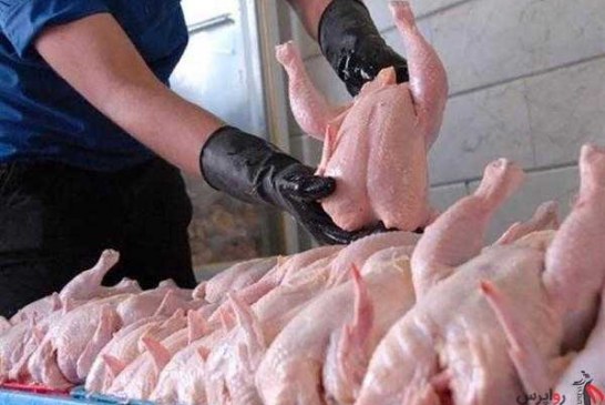 کاهش قیمت مرغ تازه به کمتر از ۱۰ هزار تومان
