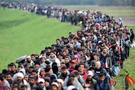 مقامات ترکیه: ۳۷ هزار پناهنده ترکیه را به مقصد اروپا ترک کردند