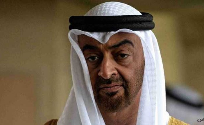 امارات از قطعنامه ضد ایرانی شورای حکام استقبال کرد
