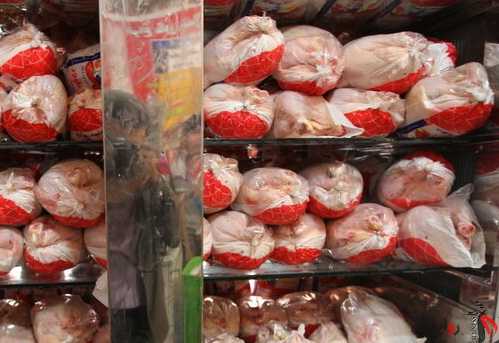 میانگین قیمت مرغ در خرده فروشی بیش از ۱۷.۲ هزارتومان