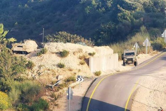ارتش لبنان: هلی‌کوپترهای اسرائیلی مراکز جمعیت “سبز بدون مرز” را هدف گرفتند