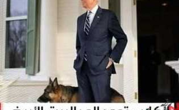 خشم العربیه از شکست ترامپ با انتشار یک تصویر : “سگ ها به کاخ سفید باز می گردند !”