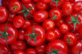 آغاز توزیع گوجه فرنگی جنوب در میادین/هرکیلو گوجه فرنگی درجه یک؛ ۱۱ هزارتومان