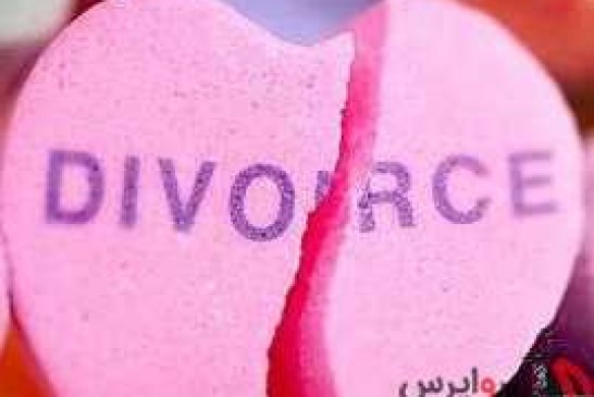 ترس از طلاق موجب تاخیر در فرزندآوری شده است ( رسول صادقی رئیس موسسه مطالعات جمعیتی کشور و دکتر امید علی احمدی جامعه شناس )
