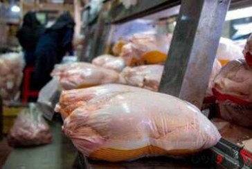 جریمه ۹۹ میلیون تومانی متخلفان صنف مرغ و تخم مرغ