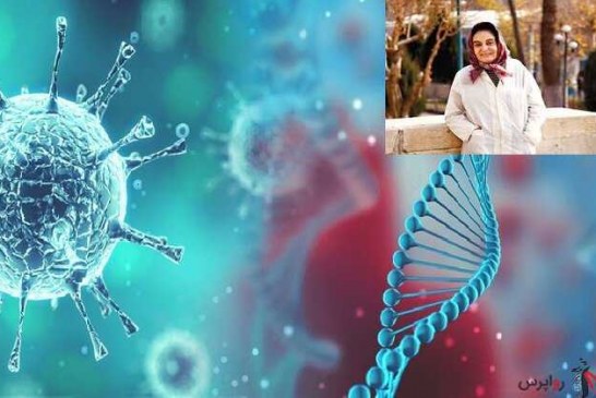 شناسایی سوش جدید کرونا در دانشگاه تهران/تعریف ۱۳ گروه اصلی ویروس کرونا بر حسب توالی ژنوم