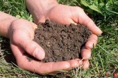 چگونه می‌توان خاک را برای افزایش ذخیره کربن مدیریت کرد؟