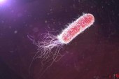 پژوهشگران راهبرد باکتری‌ها برای مقابله با دارو را کشف کردند