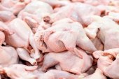 گرانی مرغ در عین تولید مازاد بر مصرف/ تولید روزانه ۷۵۰۰ تن مرغ در کشور
