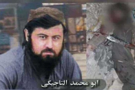 سرکرده ارشد القاعده در افغانستان کشته شد/عکس