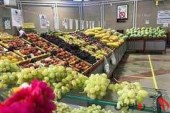 توزیع میوه شب عید از امروز/ همه نهادها پای کار آمدند تا میوه ارزان‌تر به دست مردم برسد