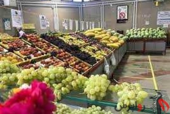 توزیع میوه شب عید از امروز/ همه نهادها پای کار آمدند تا میوه ارزان‌تر به دست مردم برسد