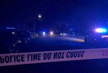 تیراندازی در «ویلمینگتون» آمریکا، هفت کشته و زخمی برجای گذاشت