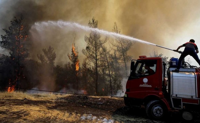 ترکیه درخواست صهیونیست‌ها برای کمک به اطفای حریق جنگل‌ را نپذیرفت