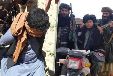 طالبان: پاسخگوی تخلفات صورت گرفته از سوی اعضای خود هستیم