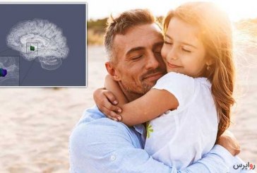 ساختار مغز پدرانی که وقت بیشتری با فرزند می‌گذرانند متفاوت است