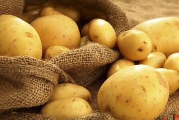 صادرات ۷۰ هزار تن سیب زمینی استان همدان از ابتدای سال