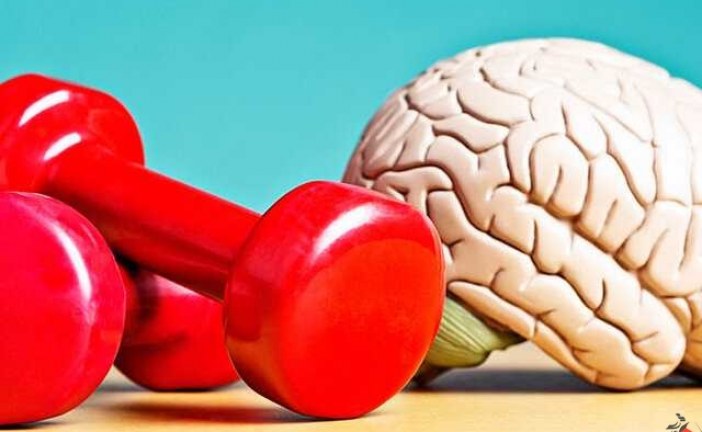 خطر آلزایمر و التهاب مغز را با ورزش کردن برطرف کنید!