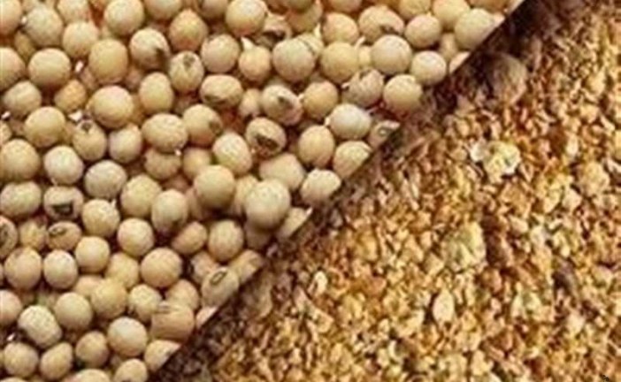 ایران ۳۰۰ هزار تن ذرت و ۲۴۰ هزار تن آرد سویا برای خوراک دام خرید