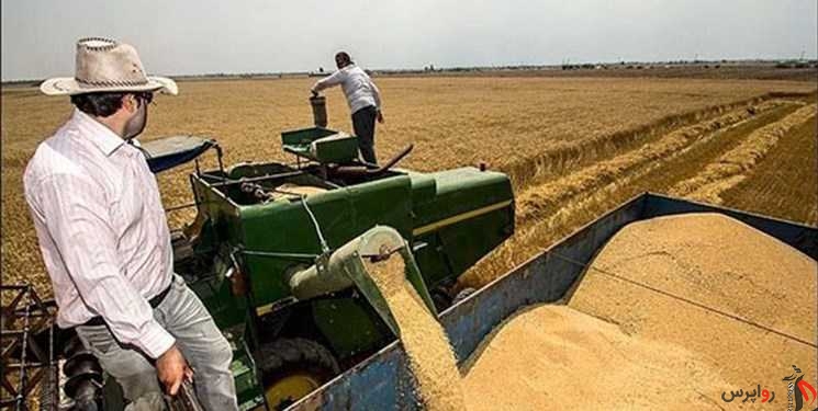 تولید گندم سال آینده به 10 میلیون تن می‌رسد/ خودکفایی در شکر و پنبه در دولت سیزدهم