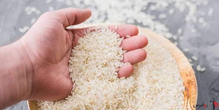 قیمت برنج ایرانی در سراشیبی قرار گرفت/4 راهکار برای تثبیت قیمت