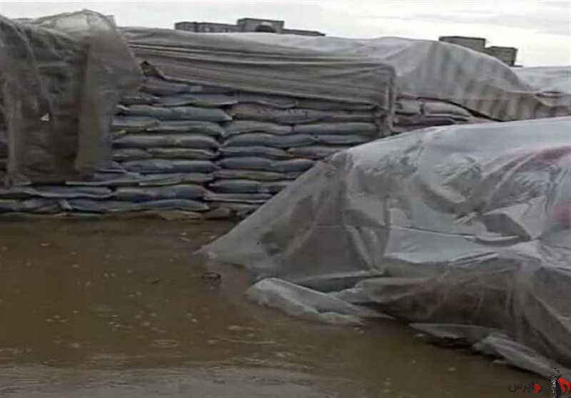 سیل اخیر زاهدان به حدود ۳۰۰ تن برنج خسارت زد