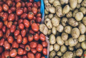 تولید داروی سرطان از گوجه فرنگی و سیب زمینی