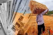 دستور رئیسی به وزارت کشاورزی: گندمکاران را از دریافت حقوق‌شان مطمئن کنید