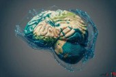 ساخت اطلس مغز انسان با کمک هوش مصنوعی