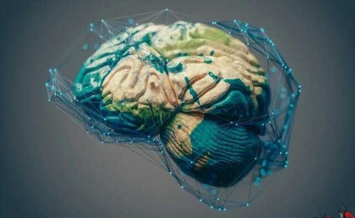 ساخت اطلس مغز انسان با کمک هوش مصنوعی
