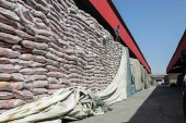 وزارت جهاد کشاورزی: پارسال 1.8 میلیون تن‌ برنج وارداتی با ارز نیمایی وارد شد