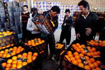 توزیع میوه تنظیم‌ بازاریِ شب عید در استان تهران‌
