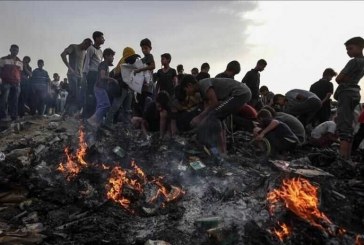 مقامات سازمان ملل حمله اسرائیل به رفح را محکوم کردند