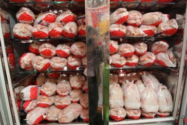 مدیرعامل اتحادیه سراسری مرغداران گوشتی : استمرار افزایش تولید و کاهش قیمت گوشت مرغ در بازار
